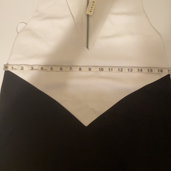 Alice + Olivia Black & White V Neck Mini Dress - Picture 9 of 9